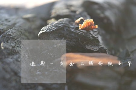 逾期一次会上调贷款利率吗 逾期一次会上调贷款利率吗