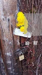 逾期一次会影响信用贷款吗 逾期一次会影响信用贷款吗