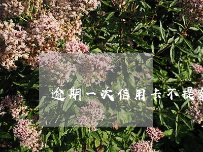 逾期一次信用卡不提额 逾期一次信用卡不提额
