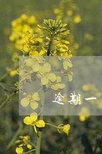 逾期一次信用卡影响贷款么 逾期一次信用卡影响贷款么