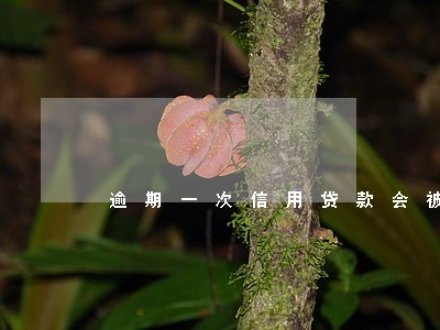 逾期一次信用贷款会被拒吗 逾期一次信用贷款会被拒吗
