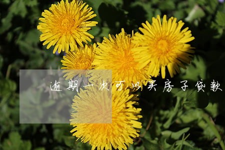 逾期一次可以买房子贷款吗
