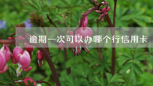 逾期一次可以办哪个行信用卡 逾期一次可以办哪个行信用卡