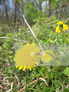 逾期一次可以办理农行贷款 逾期一次可以办理农行贷款