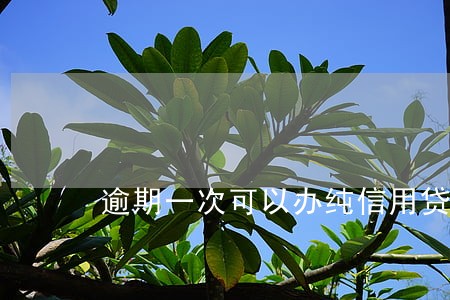 逾期一次可以办纯信用贷款吗 逾期一次可以办纯信用贷款吗