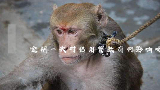 逾期一次对信用贷款有何影响吗 逾期一次对信用贷款有何影响吗