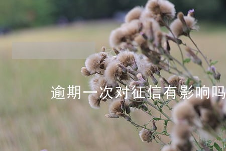 逾期一次对征信有影响吗信用卡 逾期一次对征信有影响吗信用卡