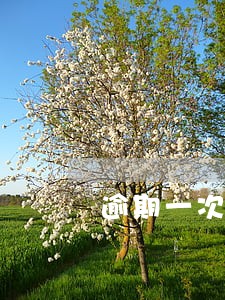 逾期一次对贷款买房有影响吗 逾期一次对贷款买房有影响吗