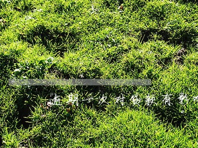 逾期一次对贷款有影响吗 逾期一次对贷款有影响吗
