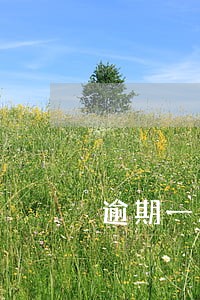 逾期一次影响二手房抵押贷款