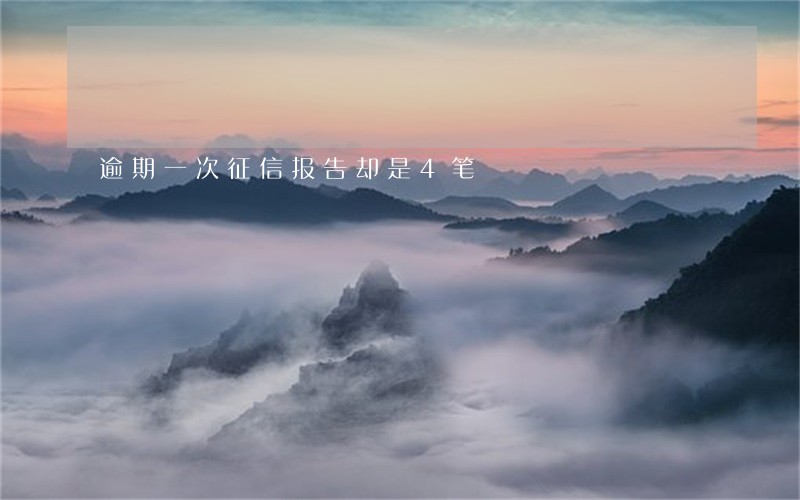 逾期一次征信报告却是4笔 逾期一次征信报告却是4笔