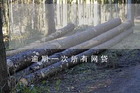逾期一次所有网贷