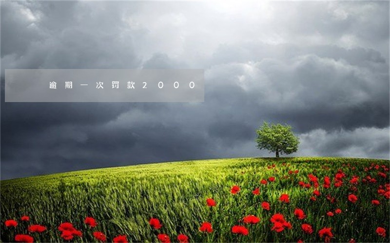 逾期一次罚款2000 逾期一次罚款2000