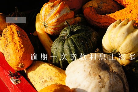 逾期一次贷款利息上涨多少 逾期一次贷款利息上涨多少