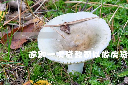 逾期一次贷款可以做房贷吗 逾期一次贷款可以做房贷吗