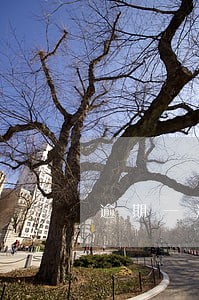 逾期一次还可以申请信用卡吗