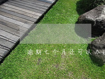 逾期七个月还可以办理信用卡吗