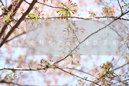 逾期七次可以贷款买房吗 逾期七次可以贷款买房吗
