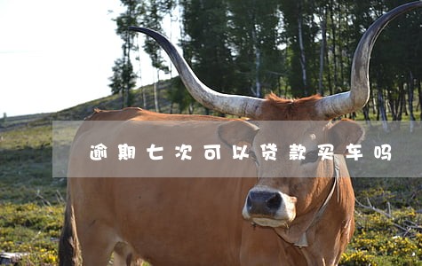 逾期七次可以贷款买车吗 逾期七次可以贷款买车吗