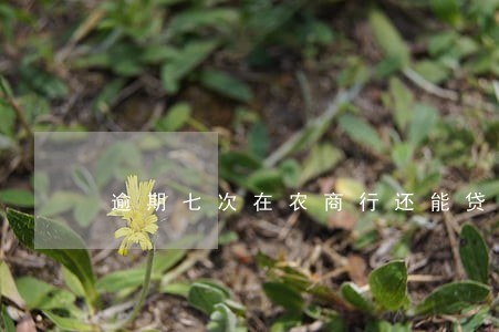 逾期七次在农商行还能贷款吗