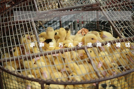 逾期三万六千信用卡领结婚证 逾期三万六千信用卡领结婚证