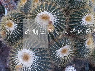 逾期三万可以借的网贷 逾期三万可以借的网贷