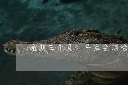逾期三个月5年后会消除吗 逾期三个月5年后会消除吗