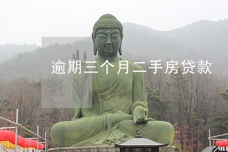 逾期三个月二手房贷款