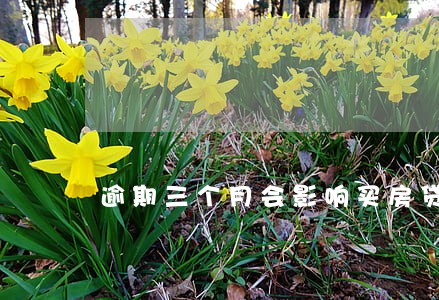 逾期三个月会影响买房贷款吗 逾期三个月会影响买房贷款吗