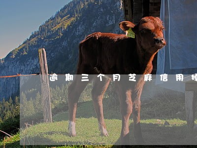 逾期三个月芝麻信用掉多少分 逾期三个月芝麻信用掉多少分