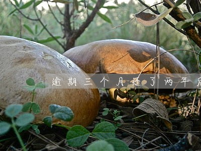 逾期三个月还了两年后开信用 逾期三个月还了两年后开信用