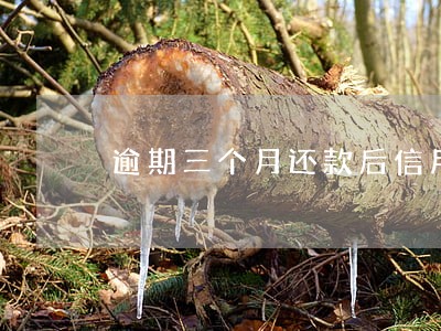 逾期三个月还款后信用卡
