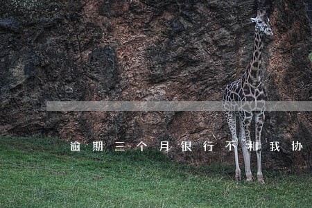 逾期三个月银行不和我协商了 逾期三个月银行不和我协商了