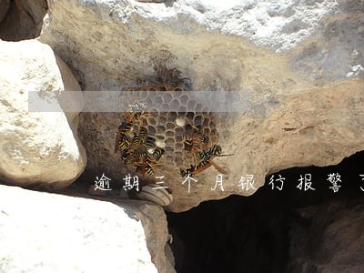 逾期三个月银行报警了 逾期三个月银行报警了
