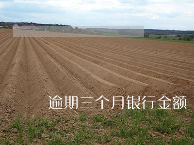 逾期三个月银行金额 逾期三个月银行金额
