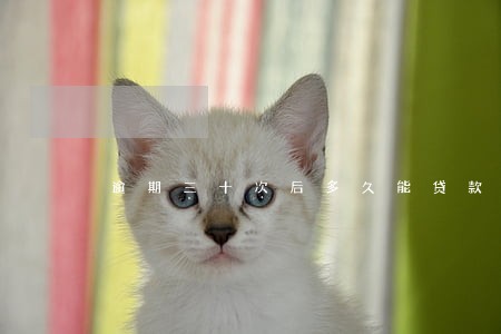 逾期三十次后多久能贷款 逾期三十次后多久能贷款