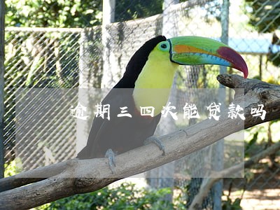 逾期三四次能贷款吗 逾期三四次能贷款吗