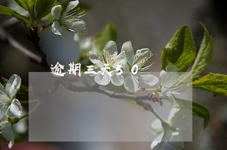 逾期三天50 逾期三天50