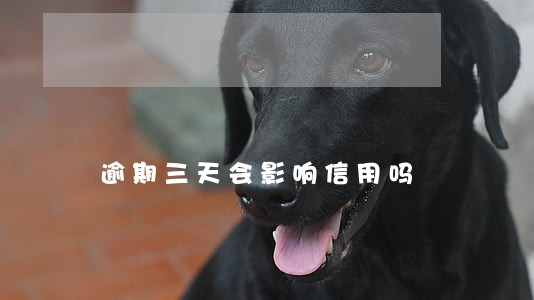 逾期三天会影响信用吗 逾期三天会影响信用吗
