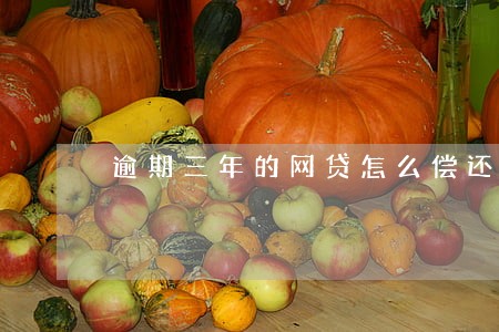 逾期三年的网贷怎么偿还 逾期三年的网贷怎么偿还