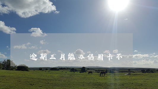 逾期三月能办信用卡不