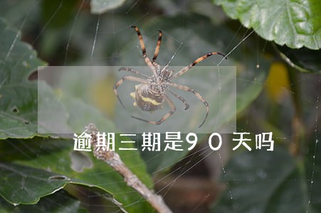 逾期三期是90天吗