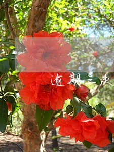 逾期三次90天 逾期三次90天