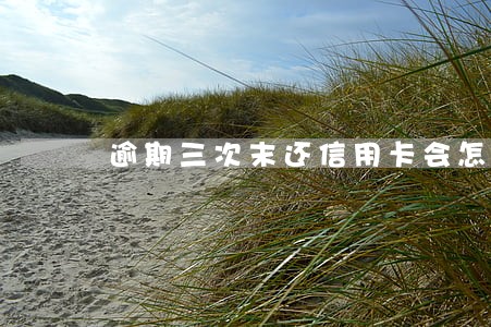 逾期三次末还信用卡会怎样 逾期三次末还信用卡会怎样