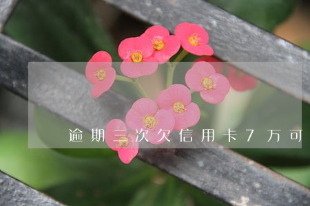 逾期三次欠信用卡7万可以按揭么