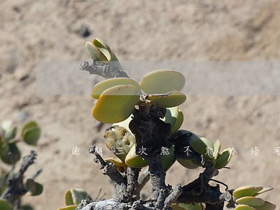 逾期三次能不能办信用卡