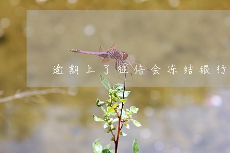 逾期上了征信会冻结银行卡吗 逾期上了征信会冻结银行卡吗