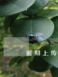 逾期上传征信会影响信用卡使用吗