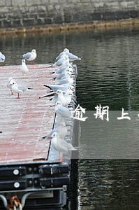 逾期上征信一次网贷 逾期上征信一次网贷