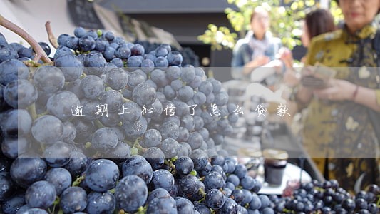 逾期上征信了怎么贷款 逾期上征信了怎么贷款